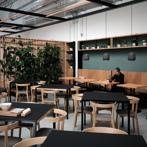 recent TENOHA Milano hospitality design projects