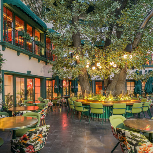recent Lou Cafe Bistro hospitality design projects