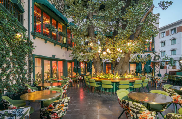 Lou Cafe Bistro - 0