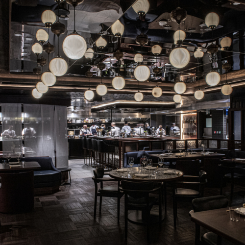recent Lucky Cat hospitality design projects