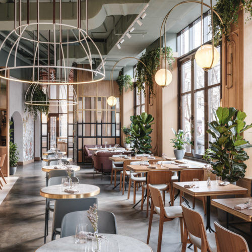 recent THE Y hospitality design projects