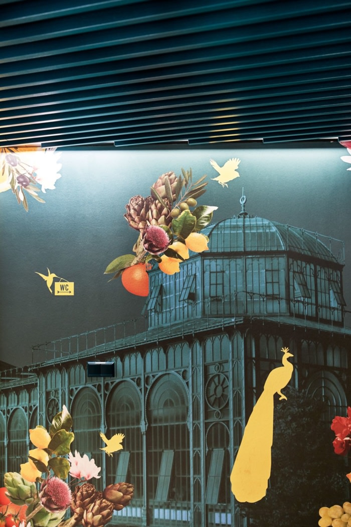 Café Belvedere - 0