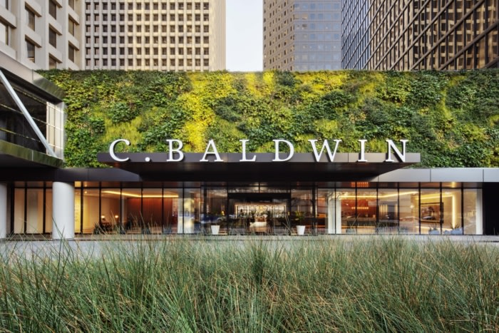 C. Baldwin, Curio Collection by Hilton - 0