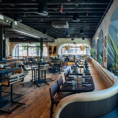 recent dLeña, DC Modern Mexican hospitality design projects