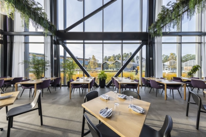 Glasshouse Kitchen - 0