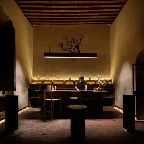 recent Josafat Zalapa Restaurant hospitality design projects