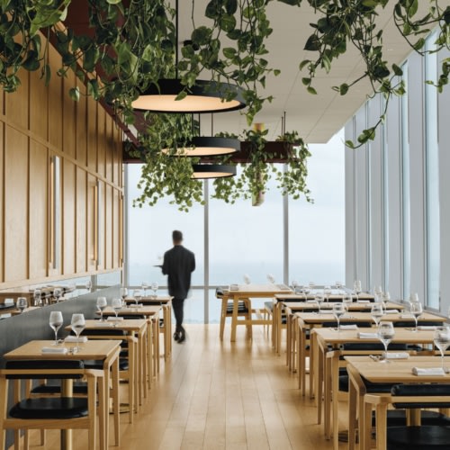 recent Hiatus Restaurant hospitality design projects